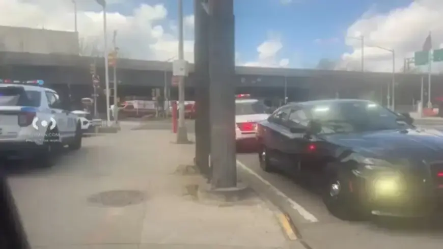 Skeletal Remains Unearthed Beneath Brooklyn Queens Expressway in Jackson Heights