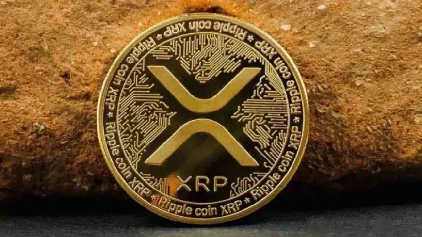 XRP Price Climbs 4% Amid Crypto Market Rebound