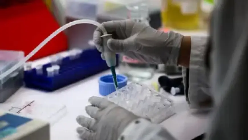 WA Gas Stations Exposed for Violating Regulations in Alarming Numbers