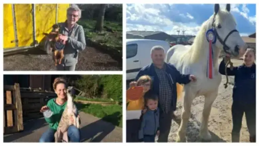 Emmerdale’s Bradley Riches Announces Tragic Family Loss Before Wedding