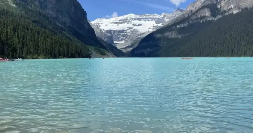 Scout Leaders Face Arrest After £200,000 Theft Forces Canada Trip Cancellation