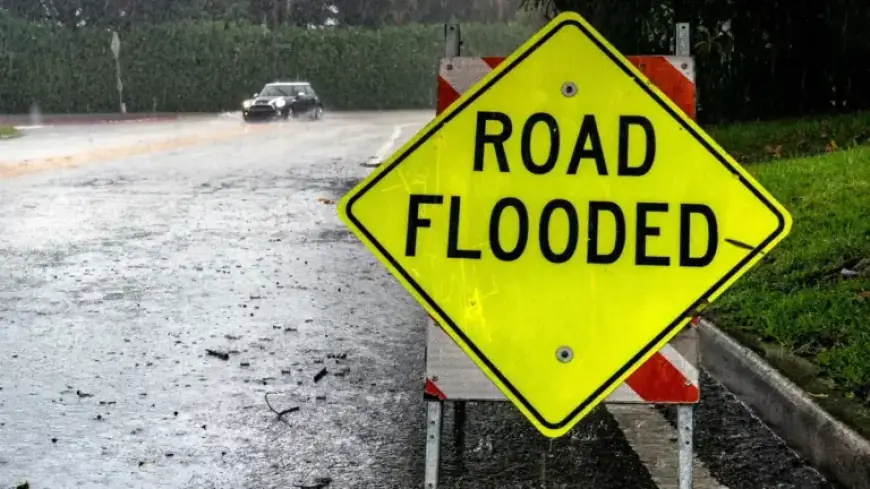 Flood Alerts Issued in Palm Beach County Amid Heavy Rain and Winds