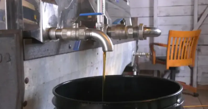 Maritime Maple Syrup Producers Worry About Low Production Levels