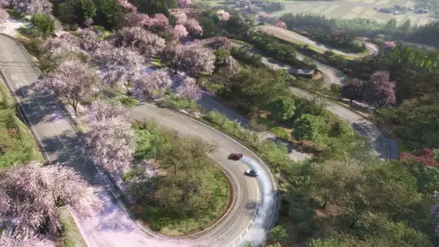 Forza Horizon 6 Reveals Stunning Japan Map