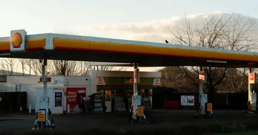 Shell Projects Reduced Gas Output, Capital Outflow Amid Iran Conflict, Expects Oil Trading Boost