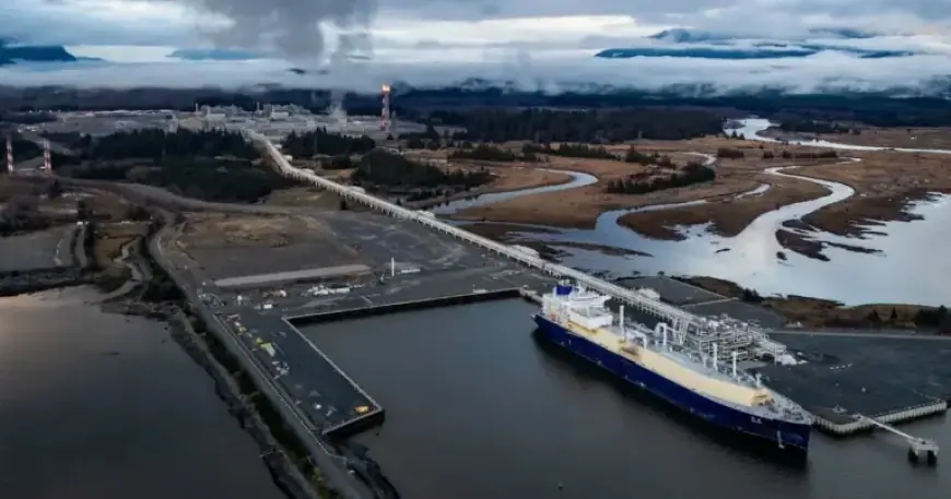 Canada’s Oil Sector Poised for Deals After Market Turmoil, Deloitte Predicts