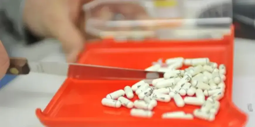 Allied Health Experts Warn of Dire Hospital Pharmacist Shortage