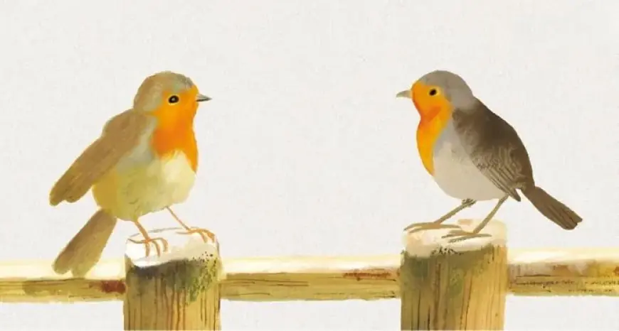 “Top Title Wins First James Patterson & Bookshop.org Prize”