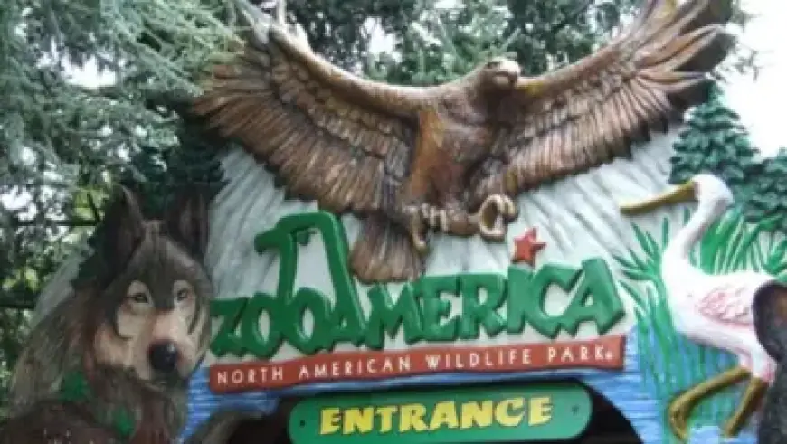 US Senate to Vote on Resolution Limiting Trump’s Iran War Powers