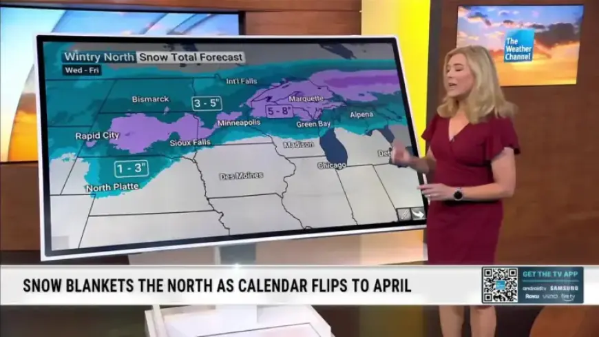 Winter Persists: Anticipating This Week’s Snowfall Totals