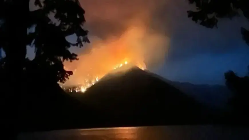 Washington Declares Statewide Drought Emergency Due to Low Snowpack