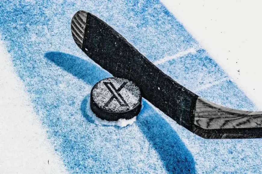 NHL Players Rethink Social Media Use Due to Invasive X Account