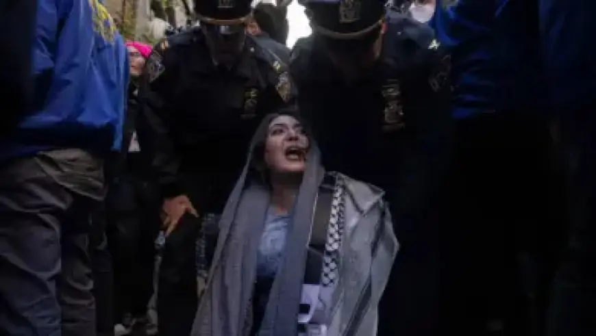 Maui Doctor Trial Verdict: Live Updates