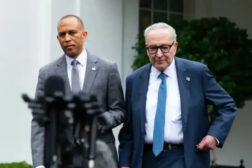 Democrats Face Favorability Struggles Amid Midterm Election Gains