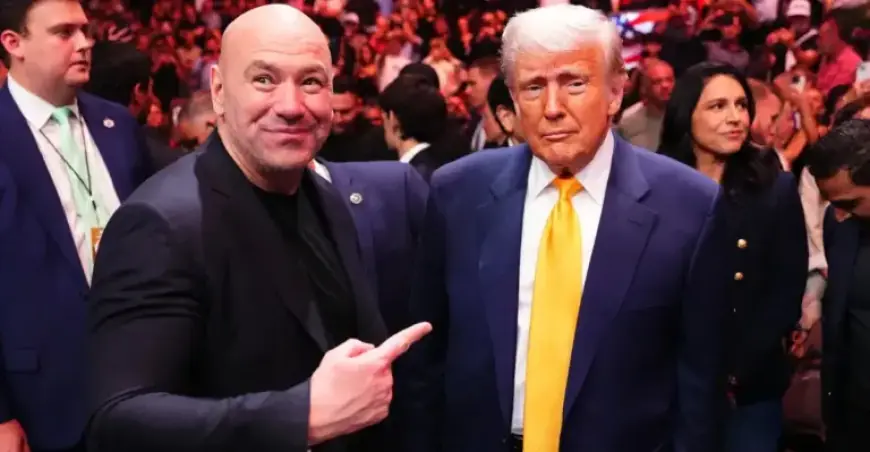Dana White Identifies Key Weather Threat to UFC White House Event