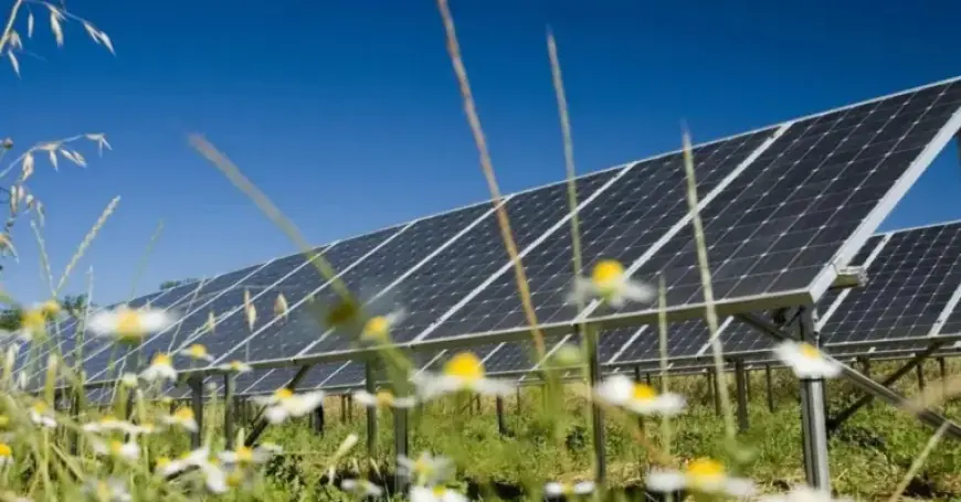 UK Approves Largest Solar Farm, Boosting Renewable Energy Initiative