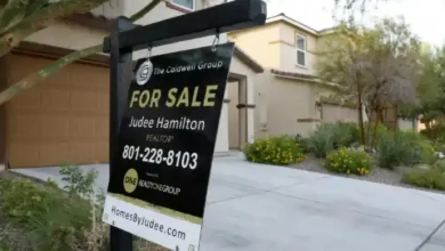 ALP Criticizes Industry Push for Boosting Network Profits