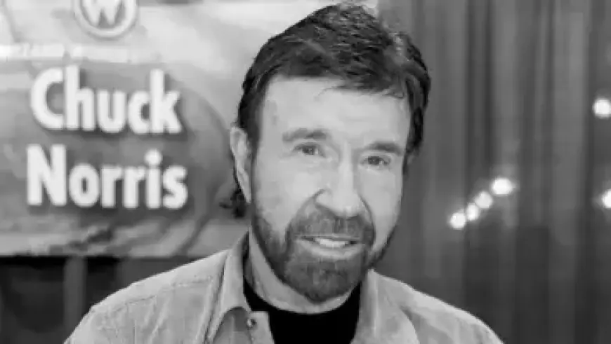 “Invincible VS Beginner’s Guide Launches Ahead of Open Beta, Packed with Humor”