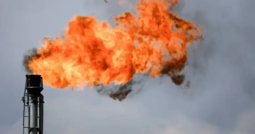 LNG Canada Exceeds Permitted Gas Flaring Volumes: Documents Reveal