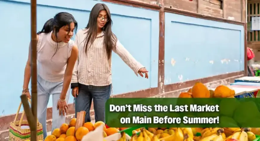 Downtown McAllen Wraps Up Season with Final Market on Main, April 11th