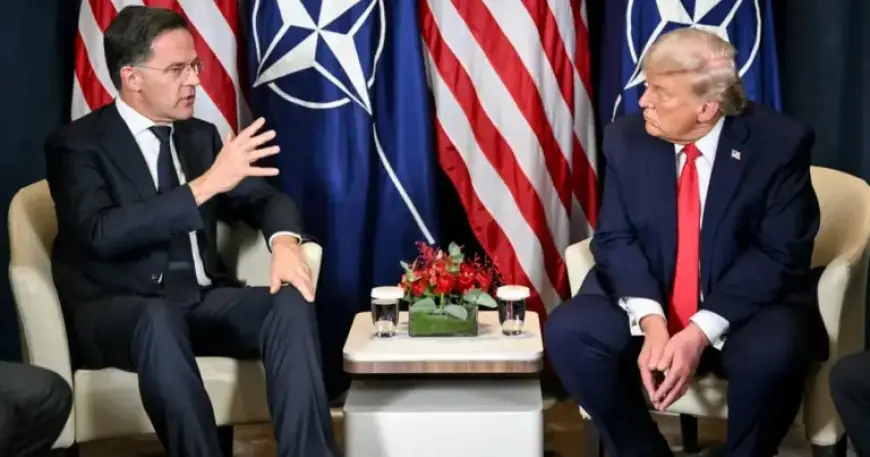 Trump Confronts Rutte Over NATO’s Iran Inaction in Tumultuous Meeting – POLITICO