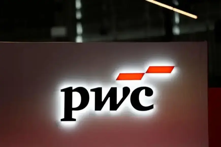 FRC Probes PWC’s 2023 Audit of Digital 9 Infrastructure