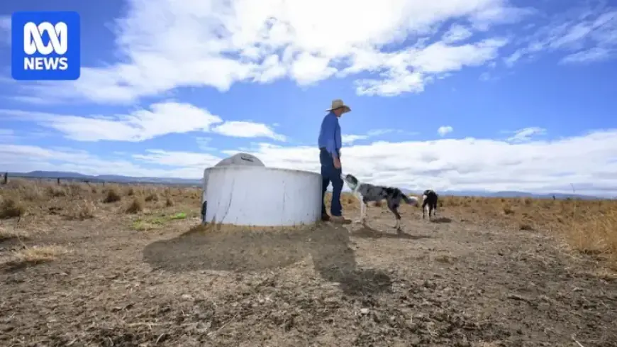 Queensland Farmers Mobilize Against Severe Drought Impact