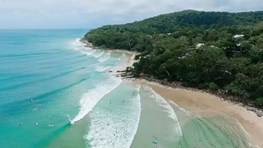 Profitable Coastal Havens: Homeowners Discover Lucrative Opportunities