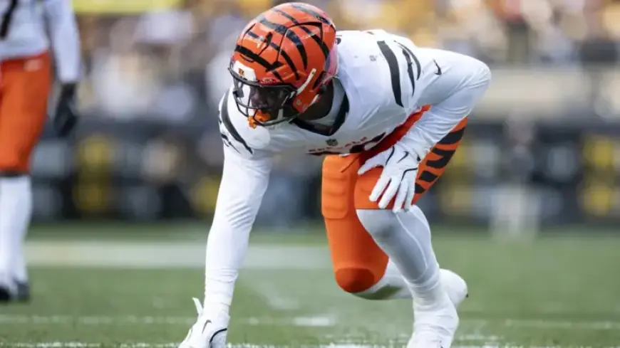 49ers Acquire Ex-Bengals Defensive End Cam Sample