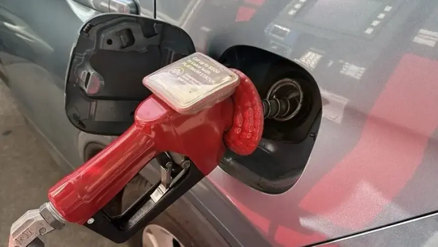 Metro Vancouver Gas Prices to Drop 16 Cents Per Litre Overnight, Analyst Reveals