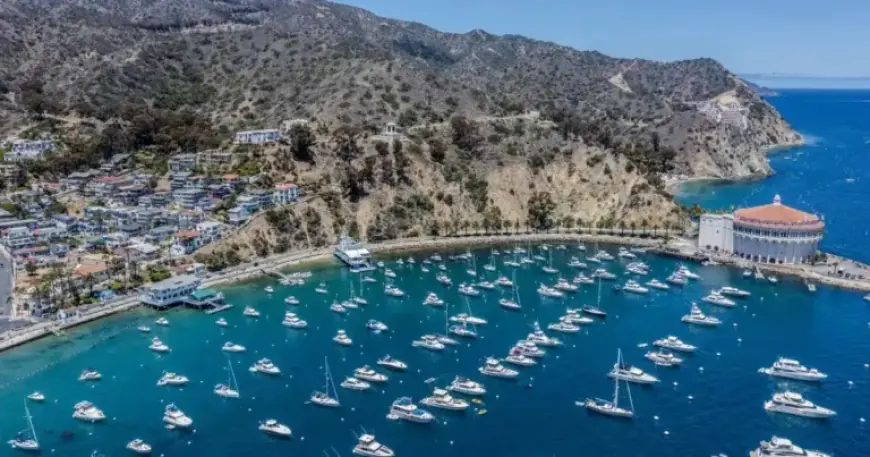 Fatal Plane Crash on Catalina Island Claims Two Lives, Officials Report