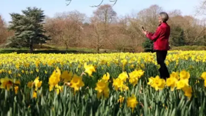 Borno Attack: Army General and Terrorists Killed, Tinubu Mourns