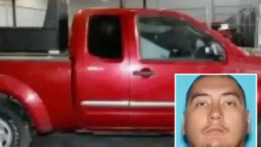 João Fonseca Defeats Berrettini, Reaches First Masters 1,000 Quarterfinal