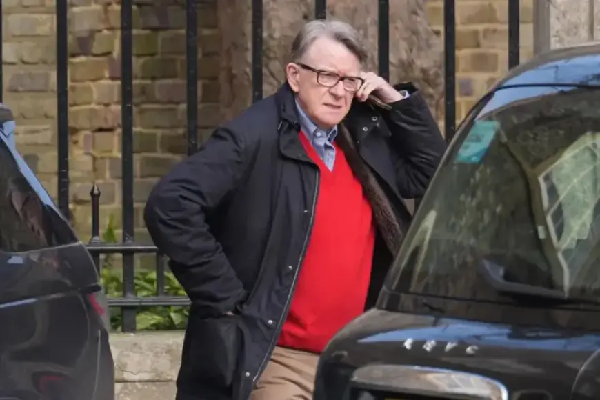 Mandelson Faces £300 Fine for Public Urination
