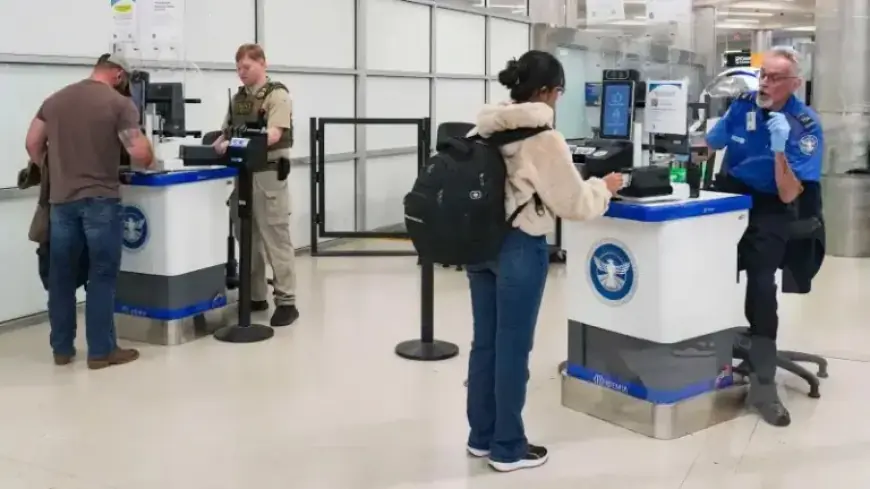 ICE Withdraws from Airport Checkpoints After Assisting TSA with Long Lines