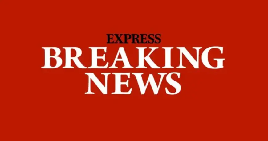 Angela Pleasence Passes: Coronation Street Icon Remembered Through Heartfelt Tributes