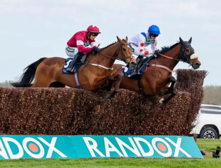 Gold Dancer Euthanized After Tragic Injury at Mildmay Novices’ Chase