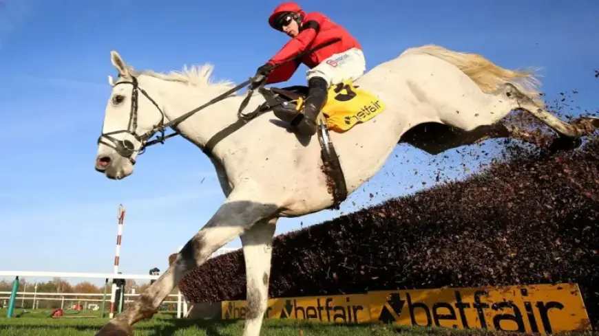 Aintree Festival Day 2: JCB Melling Chase Preview & Betting Tips