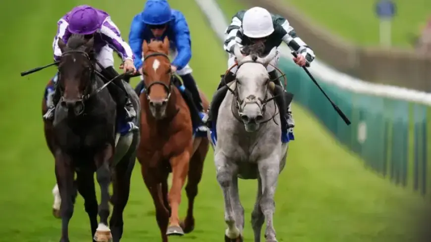 Promising 2000 Guineas Contender Gewan Passes Away