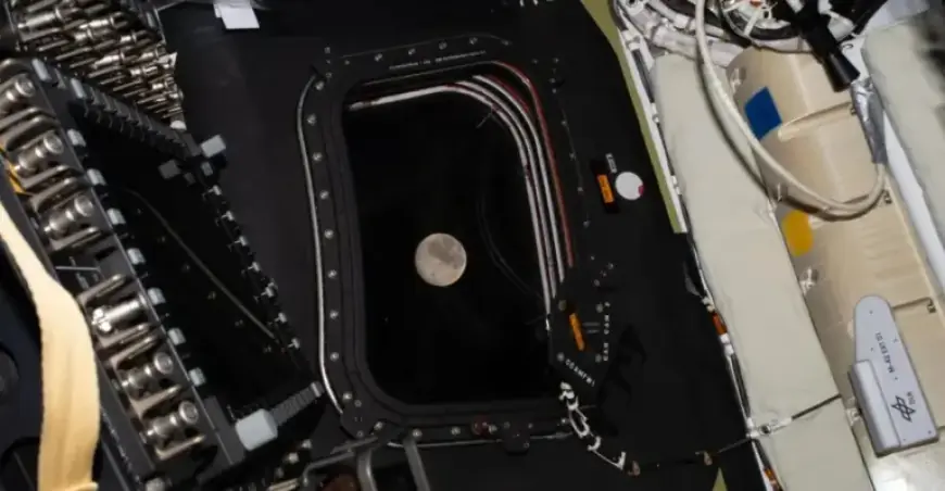 Designing Artemis II: Prioritizing Relative Comfort in Spacecraft Construction