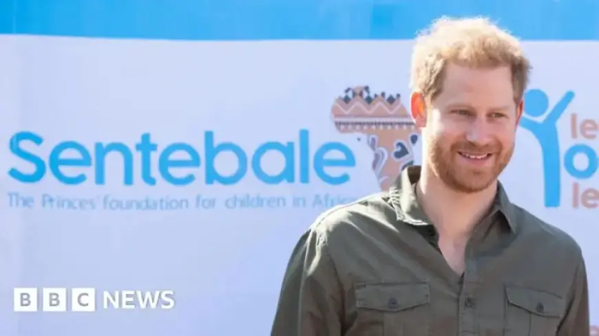 Charity Sentebale Sues Prince Harry for Defamation