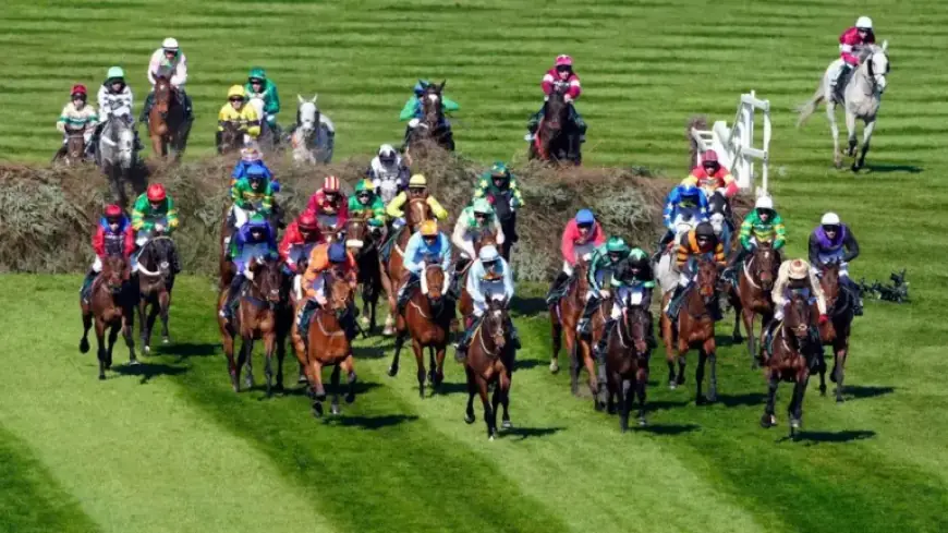 Grand National Final Field Set as Reserve Deadline Closes