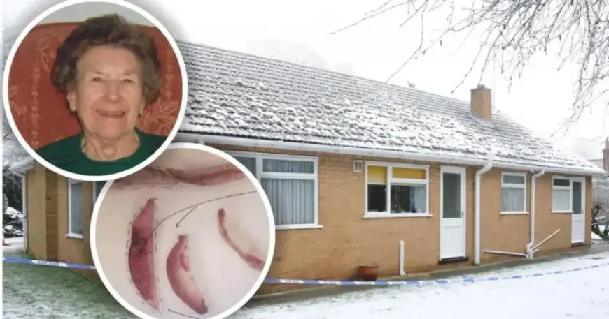 Cambridgeshire Pensioner’s Murder Showcased in Prominent TV Series