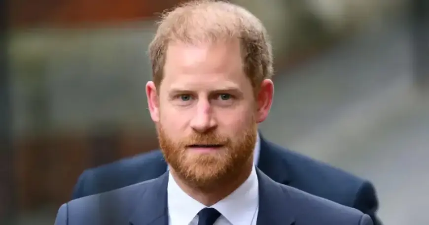 Charity Co-Founded by Prince Harry Sues Him Over Princess Diana Tribute