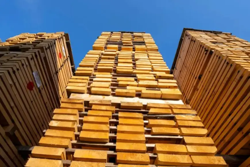 U.S. Slashes Canadian Softwood Tariffs, Yet Duties Remain Significant