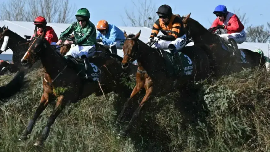 Expert Grand National Tips: Top Mare and 50/1 Longshot Highlighted