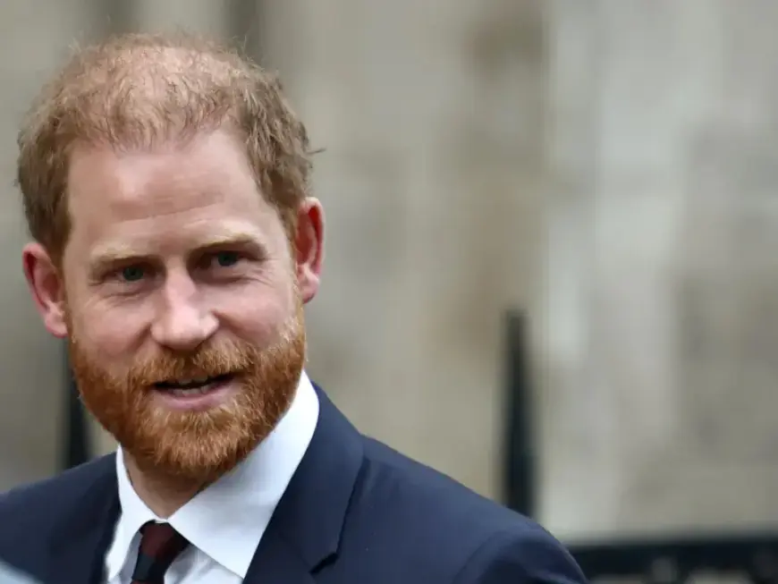Sentebale Charity Sues Co-Founder Prince Harry for Defamation