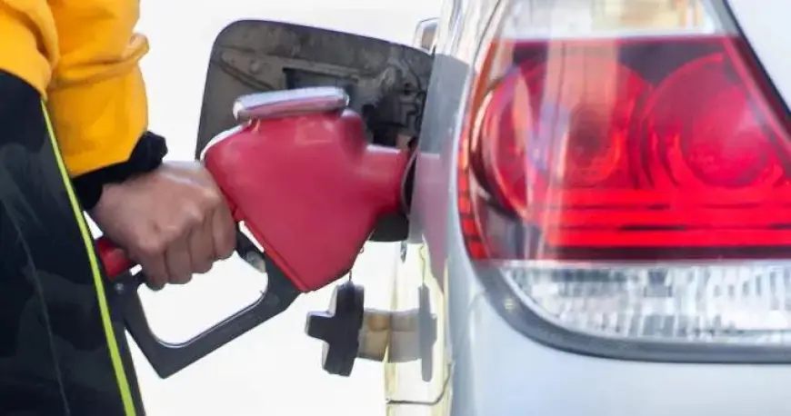 Canada Sees Gas Prices Drop, But Experts Warn of Temporary Relief