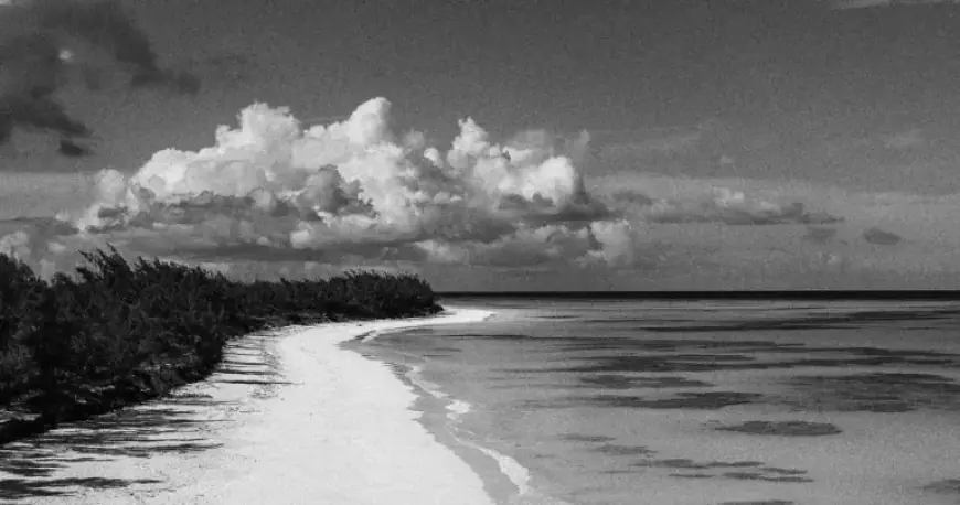 Lynette Hooker’s Disappearance: Key Details and Latest Updates