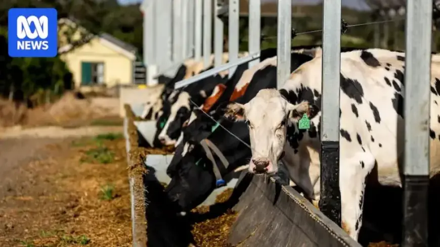 Milk Prices Rise to Offset Fuel and Fertilizer Cost Surge